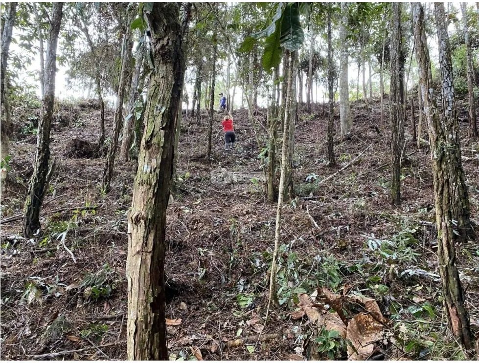 Building Lot for sale in Cerro Azul