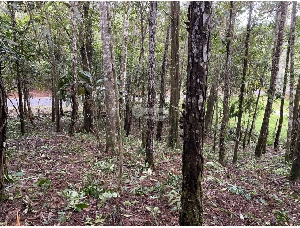 Building Lot for sale in Cerro Azul