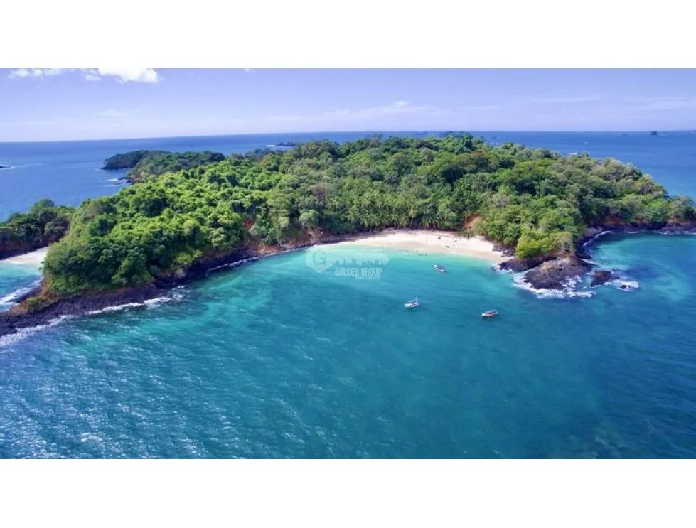 ISLA COMPLETA / GOLFO CHIRIQUI / 8 HECTAREAS + 4000m2 / NEGOCIABLE