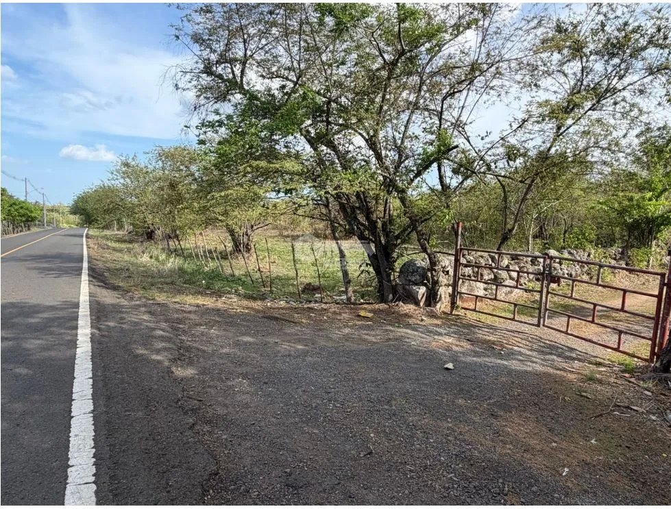 SE VENDE FINCA VIA ALTOS DEL MARIA DE 30 HECTAREAS  FRENTE A CALLE