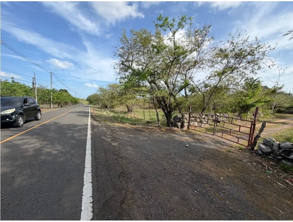 SE VENDE FINCA VIA ALTOS DEL MARIA DE 30 HECTAREAS  FRENTE A CALLE