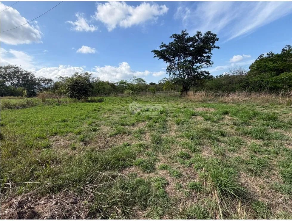 SE VENDE FINCA VIA ALTOS DEL MARIA DE 30 HECTAREAS  FRENTE A CALLE