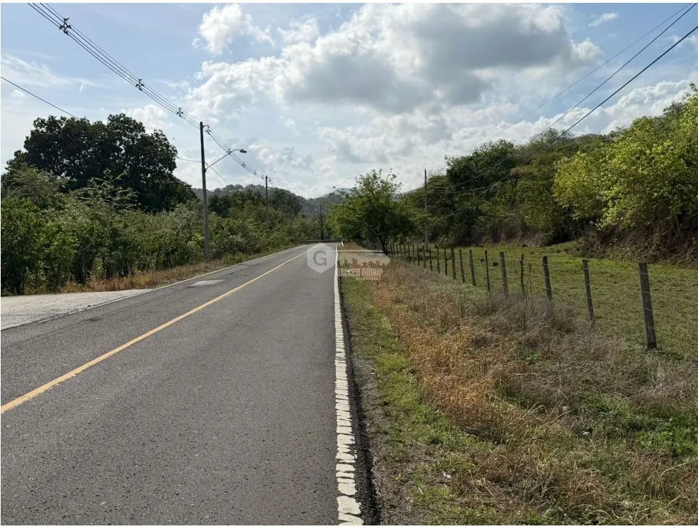 SE VENDE FINCA VIA ALTOS DEL MARIA DE 30 HECTAREAS  FRENTE A CALLE