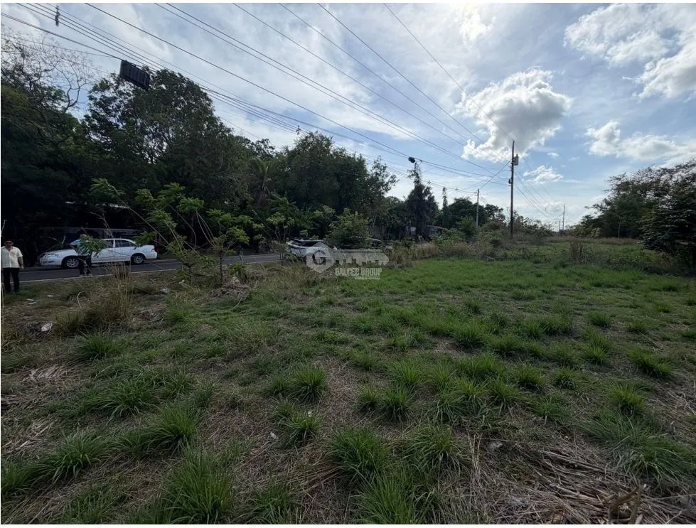 SE VENDE FINCA VIA ALTOS DEL MARIA DE 30 HECTAREAS  FRENTE A CALLE