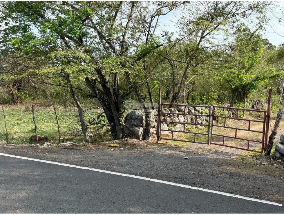 CHAME / VIA ALTOS DEL MARIA / 7 HECTAREAS / FRENTE A CALLE