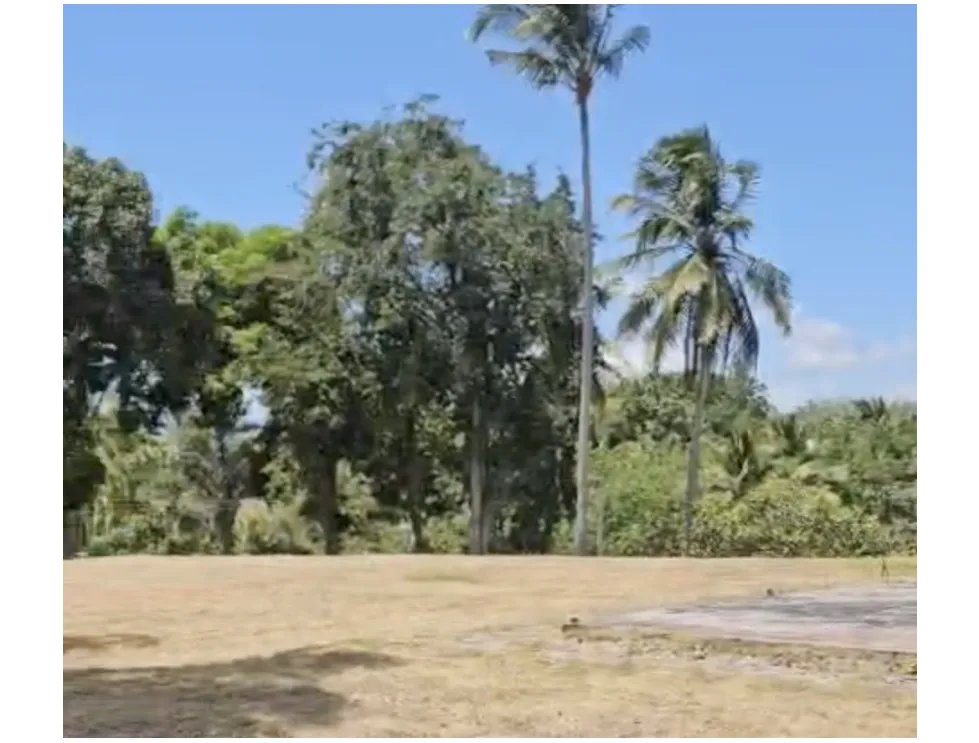 CHAME / CORONADO / 1652M / TERRENO PLANO / ESQUINA / VISTA AL MAR