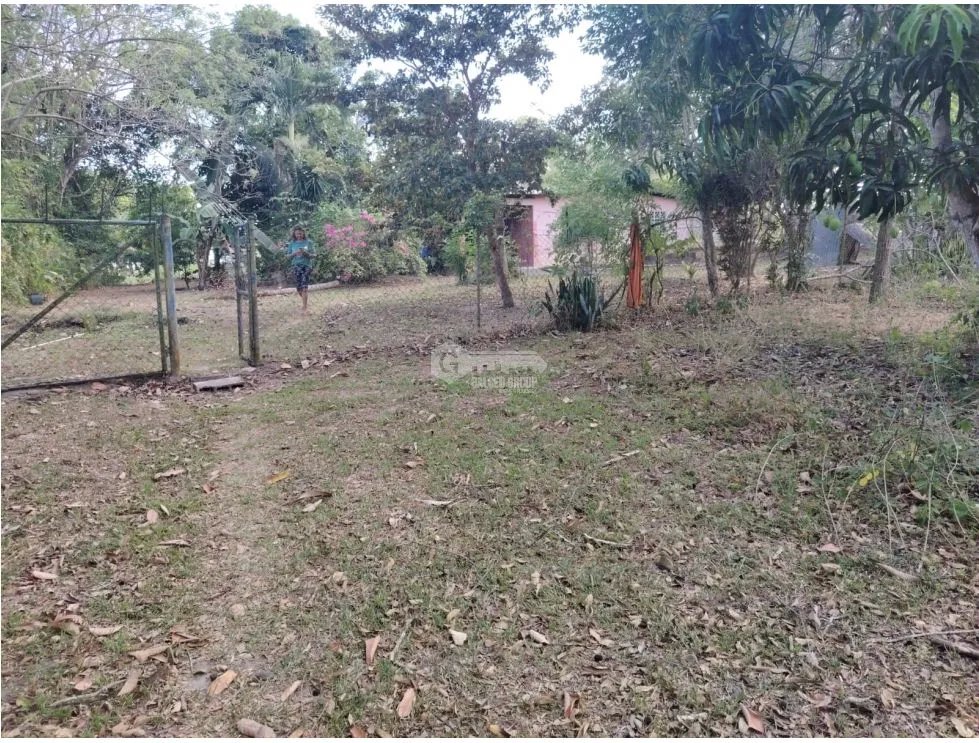 SE VENDE TERRENO EN RIO HATO TOTALMENTE PLANO IDEAL PARA INVERSION