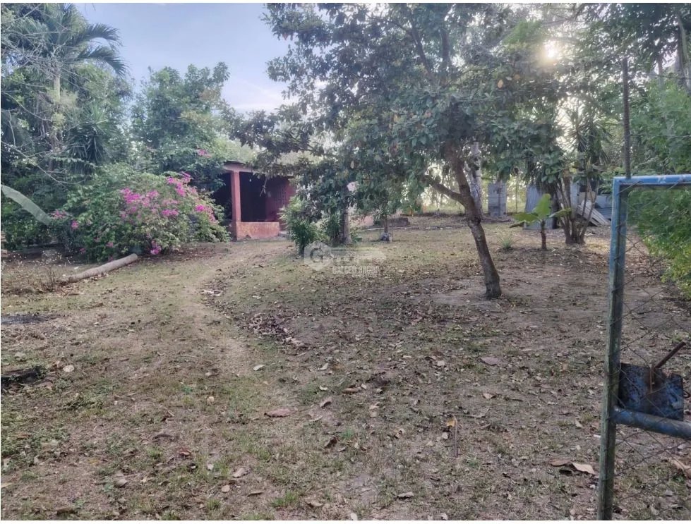 SE VENDE TERRENO EN RIO HATO TOTALMENTE PLANO IDEAL PARA INVERSION