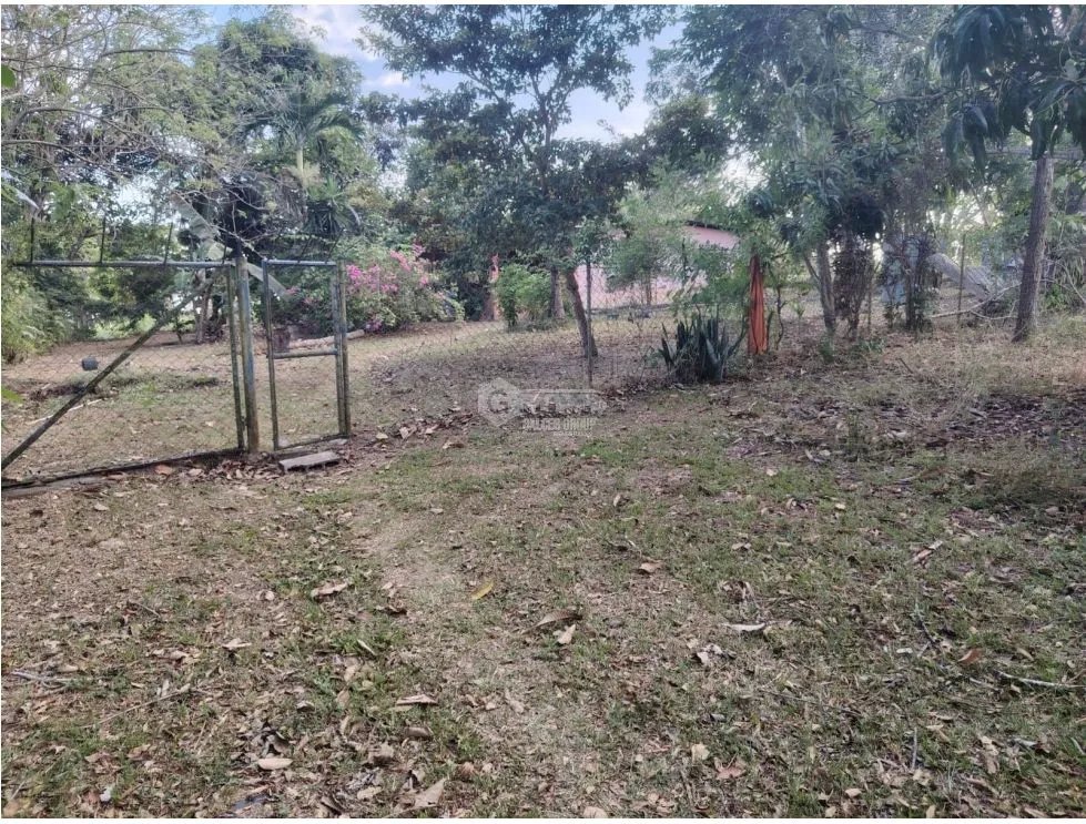 COCLE / RIO HATO /1021M / TOTALMENTE PLANO / IDEAL PARA INVERSION
