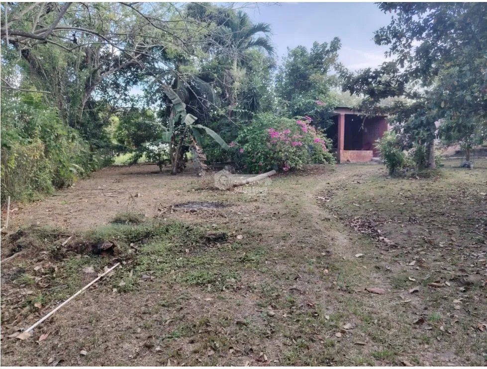 COCLE / RIO HATO /1021M / TOTALMENTE PLANO / IDEAL PARA INVERSION