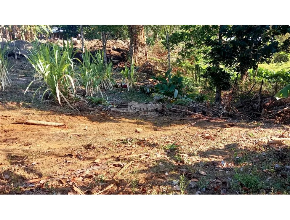 CHAME / SORÁ / 786M / TERRENO / SOBRE CALLE / IDEAL PARA DESARROLLO