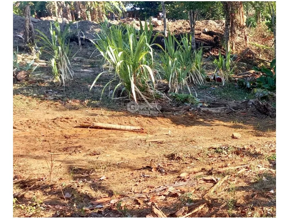 CHAME / SORÁ / 786M / TERRENO / SOBRE CALLE / IDEAL PARA DESARROLLO