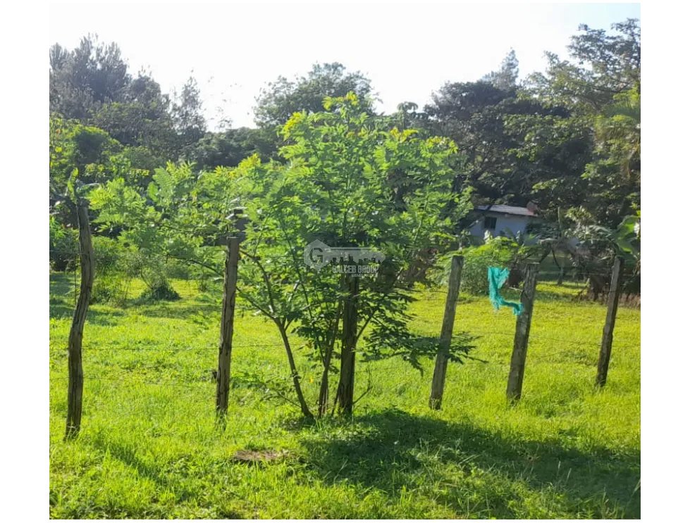 CHAME / SORÁ / 786M / TERRENO / SOBRE CALLE / IDEAL PARA DESARROLLO