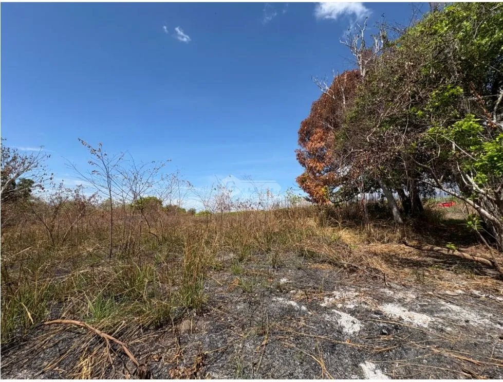 Building Lot for sale in San Carlos