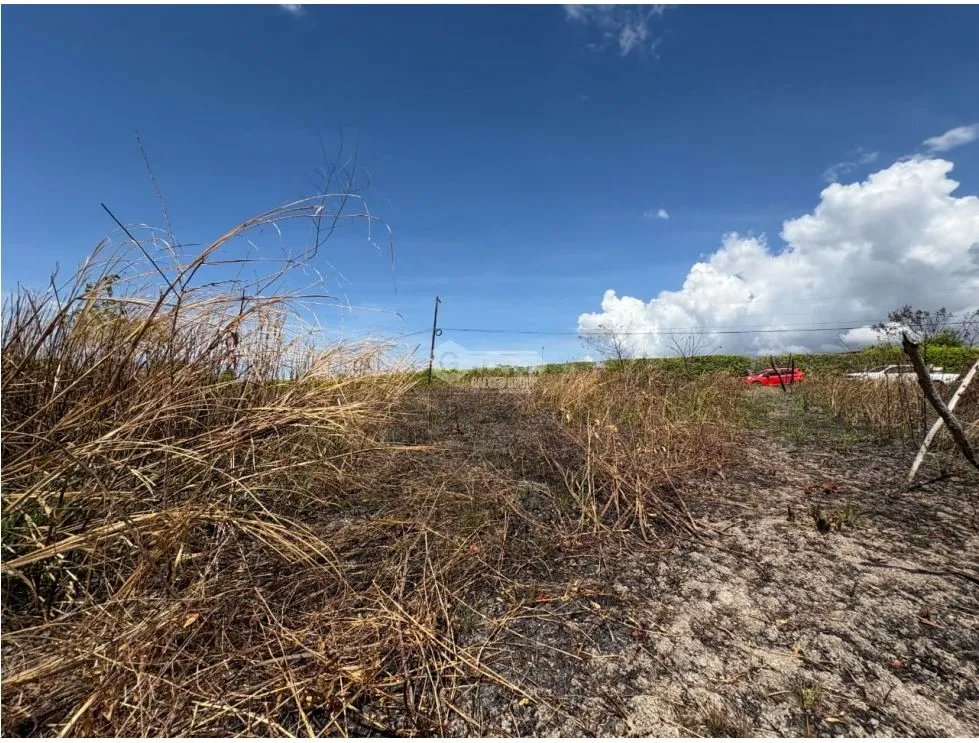 Building Lot for sale in San Carlos