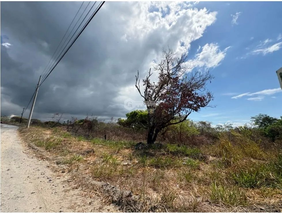Building Lot for sale in San Carlos
