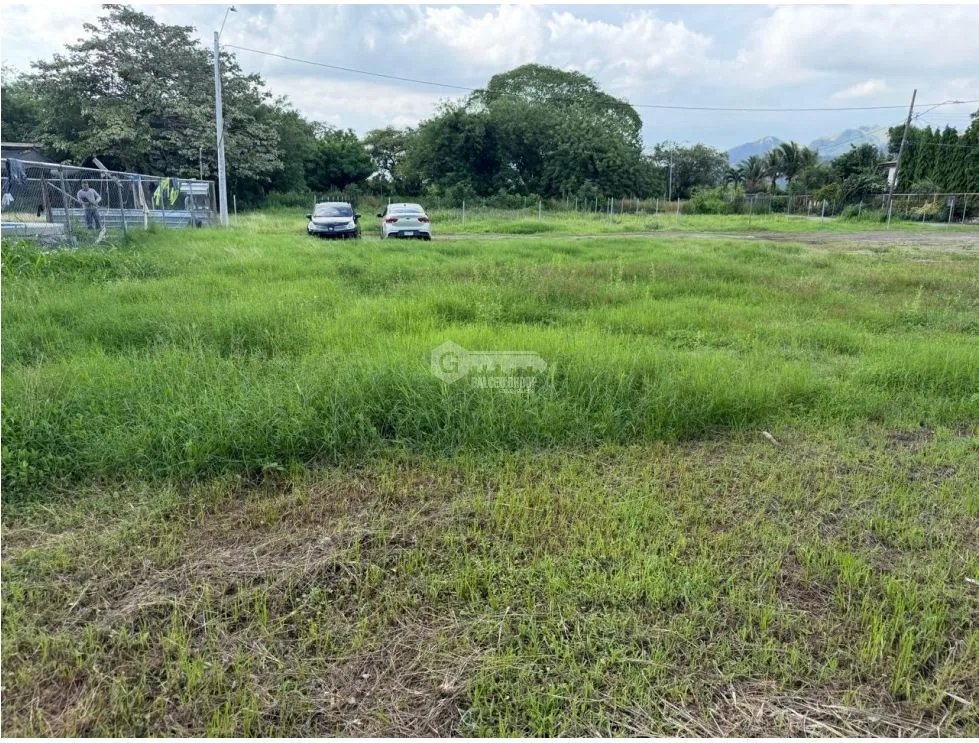 GORGONA / PLAYA MALIBU / 554M / TERRENO PLANO / A 1 MINUTO LA PLAYA RR