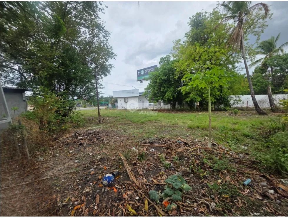 SE VENDE TERRENO PLANO EN CHAME COLONCITO SOBRE VIA INTERAMERICANA
