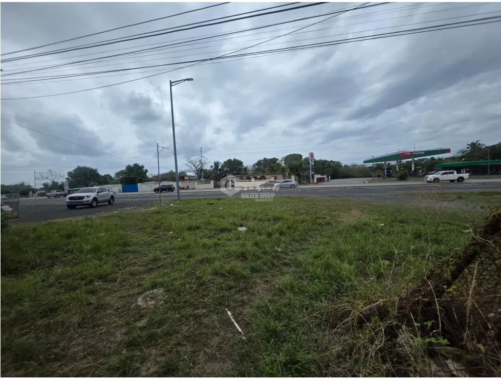 CHAME / COLONCITO / 719M / TERRENO PLANO / VIA INTERAMERICANA
