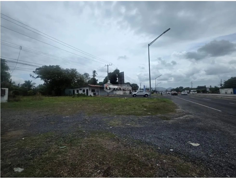 CHAME / COLONCITO / 719M / TERRENO PLANO / VIA INTERAMERICANA