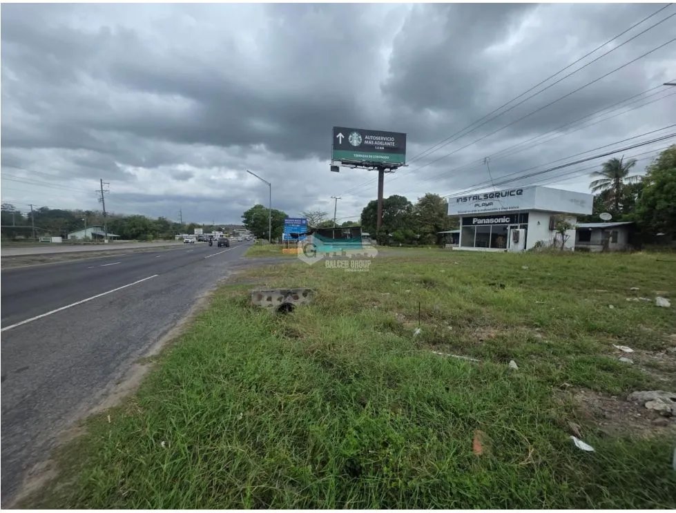 CHAME / COLONCITO / 719M / TERRENO PLANO / VIA INTERAMERICANA