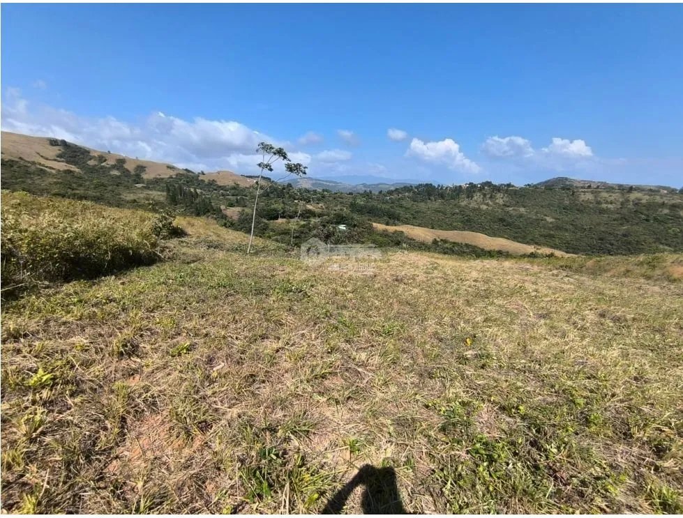 SE VENDE TERRENO EN LA LAGUNA DE SAN CARLOS IDEAL PARA DESARROLLO