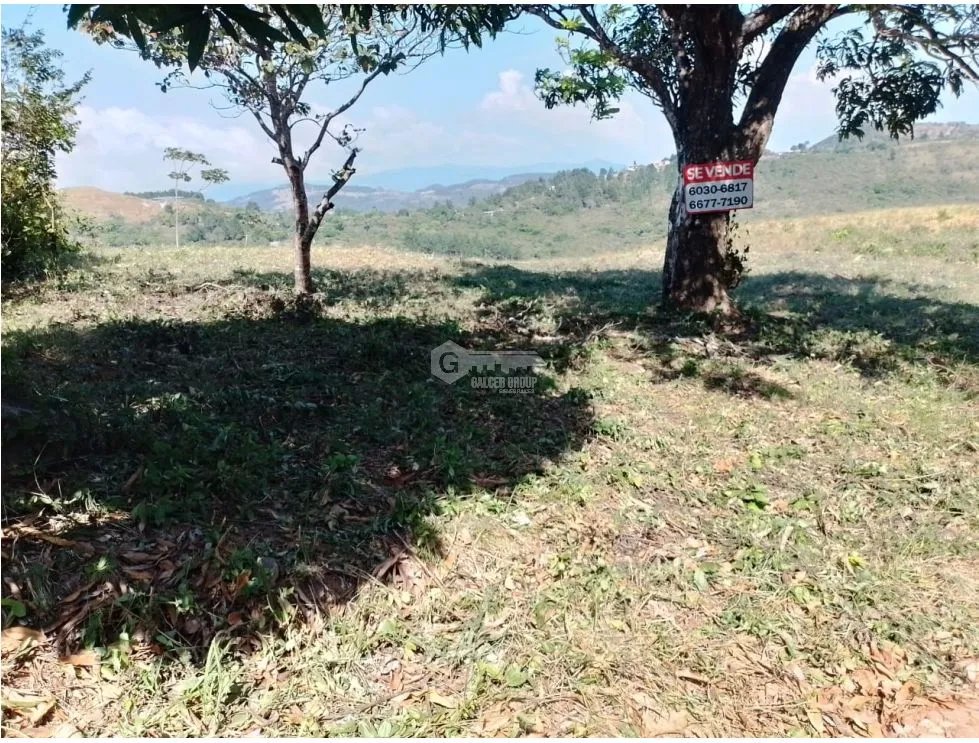 Building Lot for sale in San Carlos