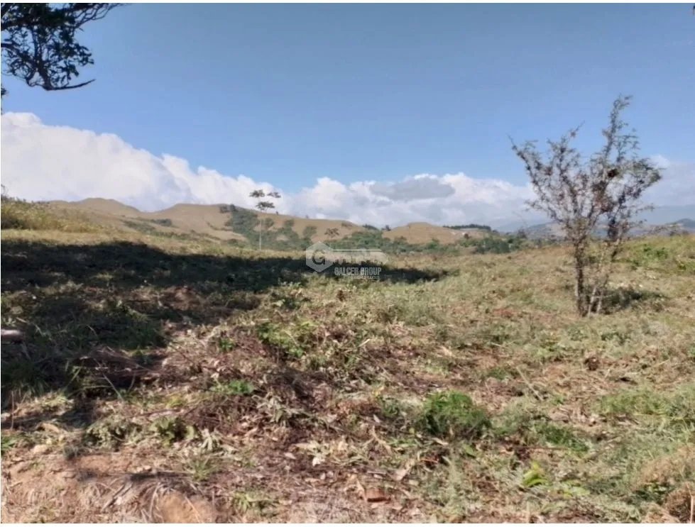 Building Lot for sale in San Carlos