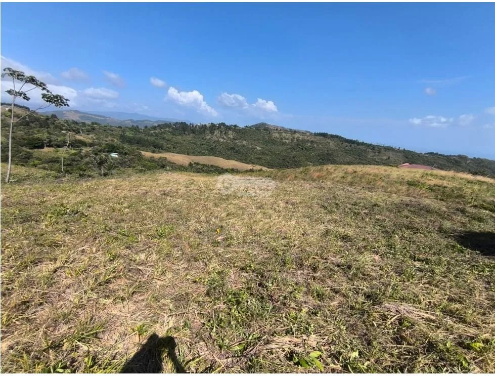 Building Lot for sale in San Carlos
