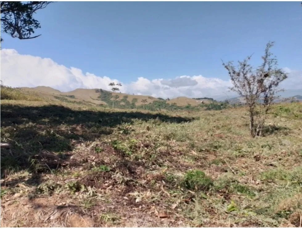 Building Lot for sale in San Carlos