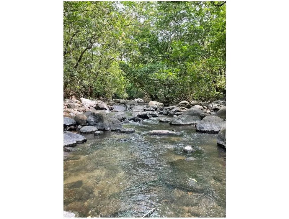Building Lot for sale in San Carlos