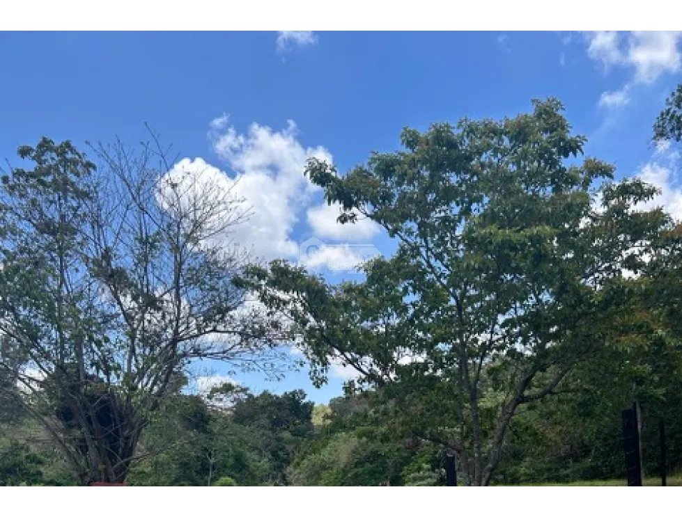 SE VENDE TERRENO EN CHORRERA EL NAZARENO DE 2912M PARA DESARROLLO