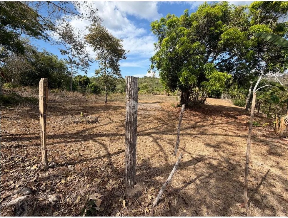 SAN CARLOS / LA ERMITA / 5339M / TERRENO PLANO / CERCA DE RIO / AG