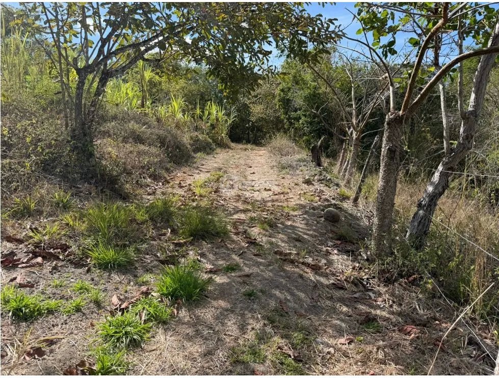 SAN CARLOS / LA ERMITA / 5339M / TERRENO PLANO / CERCA DE RIO / AG
