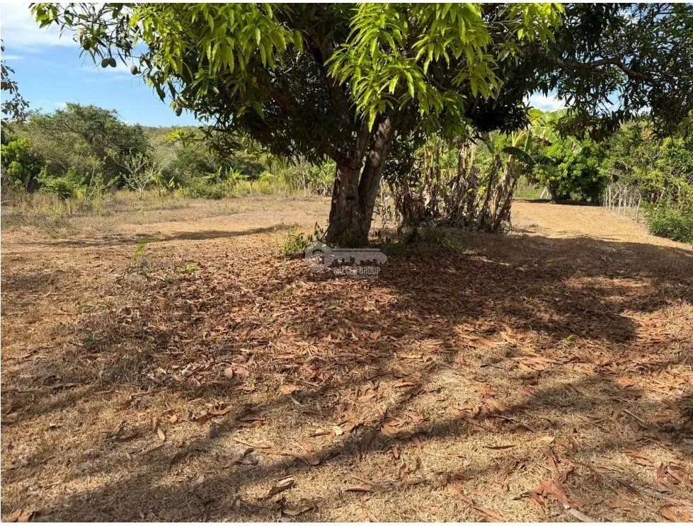 SAN CARLOS / LA ERMITA / 5339M / TERRENO PLANO / CERCA DE RIO / AG