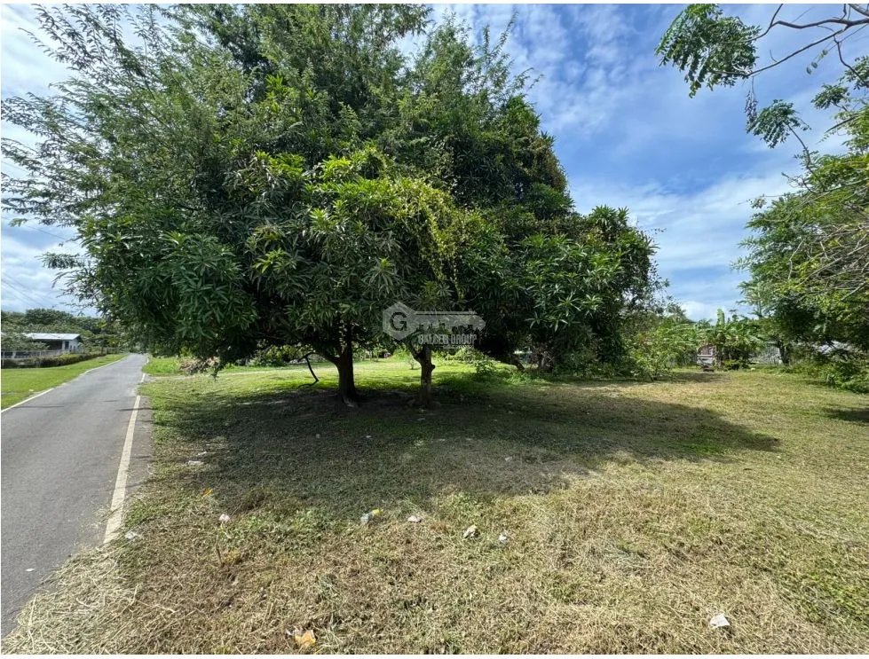 VENTA DE TERRENO DE 600M PLANO EN GORGONA CERCA DE PLAYA