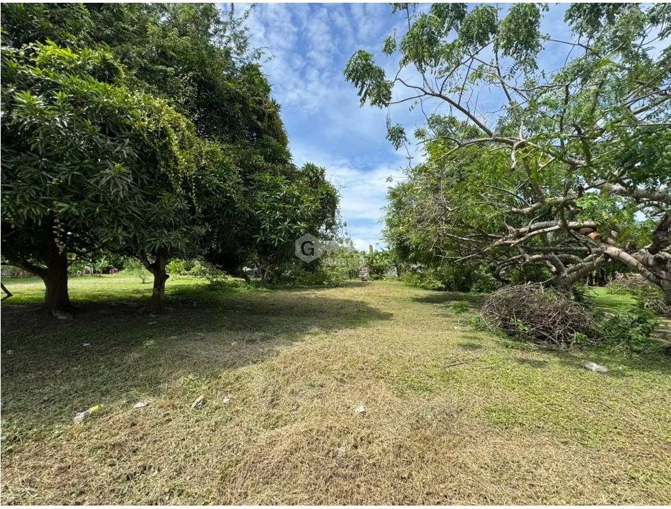 VENTA DE TERRENO DE 600M PLANO EN GORGONA CERCA DE PLAYA