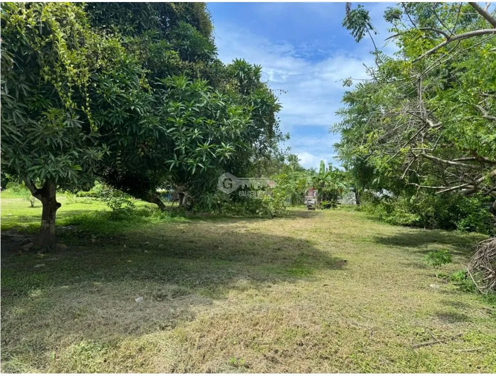 GORGONA / CHAME / 600M / TERRENO PLANO / CERCA DE PLAYA