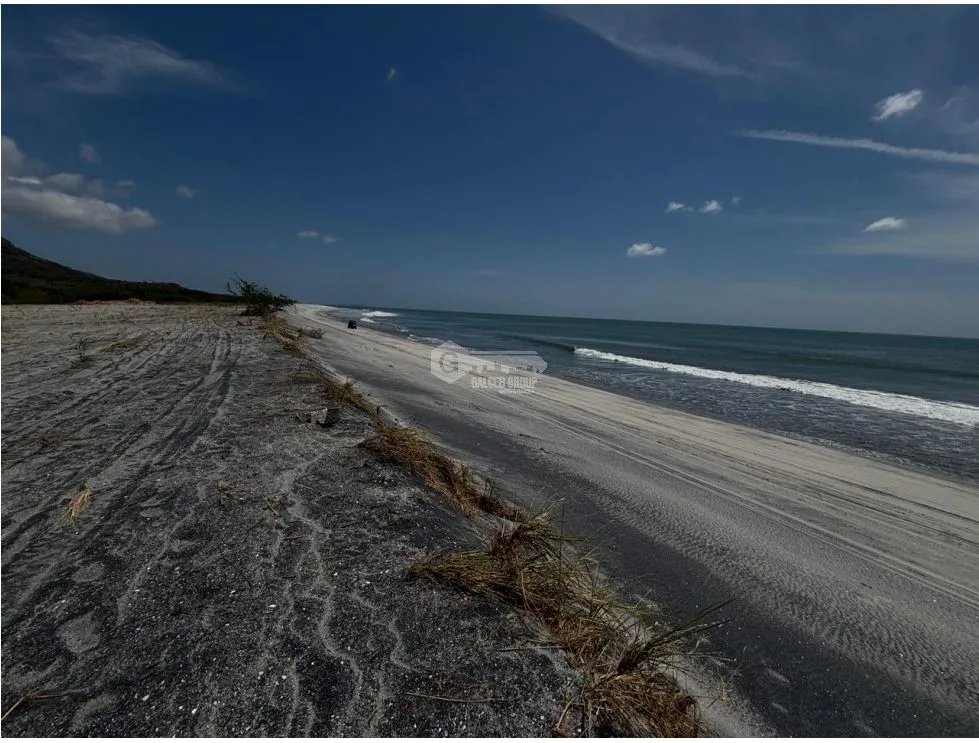 GORGONA / CHAME / 600M / TERRENO PLANO / CERCA DE PLAYA