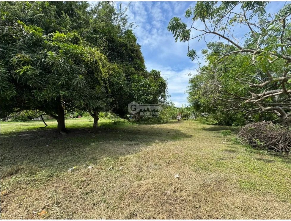 CHAME / GORGONA / CERCA DE PLAYA / 600M / TERRENO PLANO