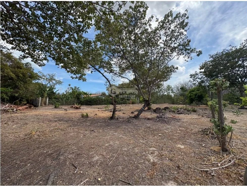 SAN JOSE / 1000M / TERRENO PLANO / SOBRE LA VIA / CERCA DE PLAYA / AG
