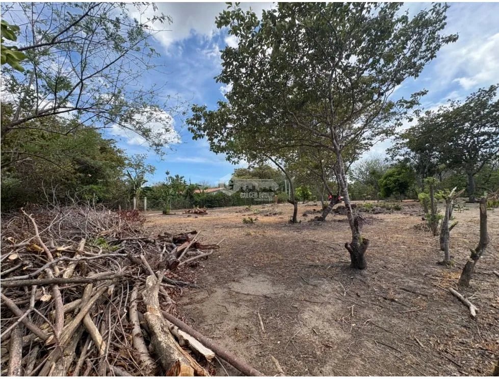 SAN JOSE / 1000M / TERRENO PLANO / SOBRE LA VIA / CERCA DE PLAYA / AG
