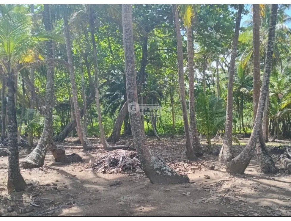 COLON / PLAYA CHIQUITA / 100 HECTAREAS / PARA DESARROLLO FRENTE AL MAR