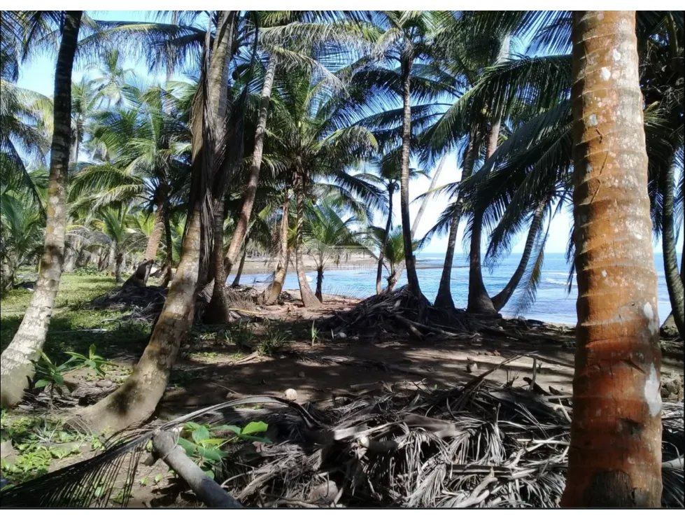 COLON / PLAYA CHIQUITA / 100 HECTAREAS / PARA DESARROLLO FRENTE AL MAR
