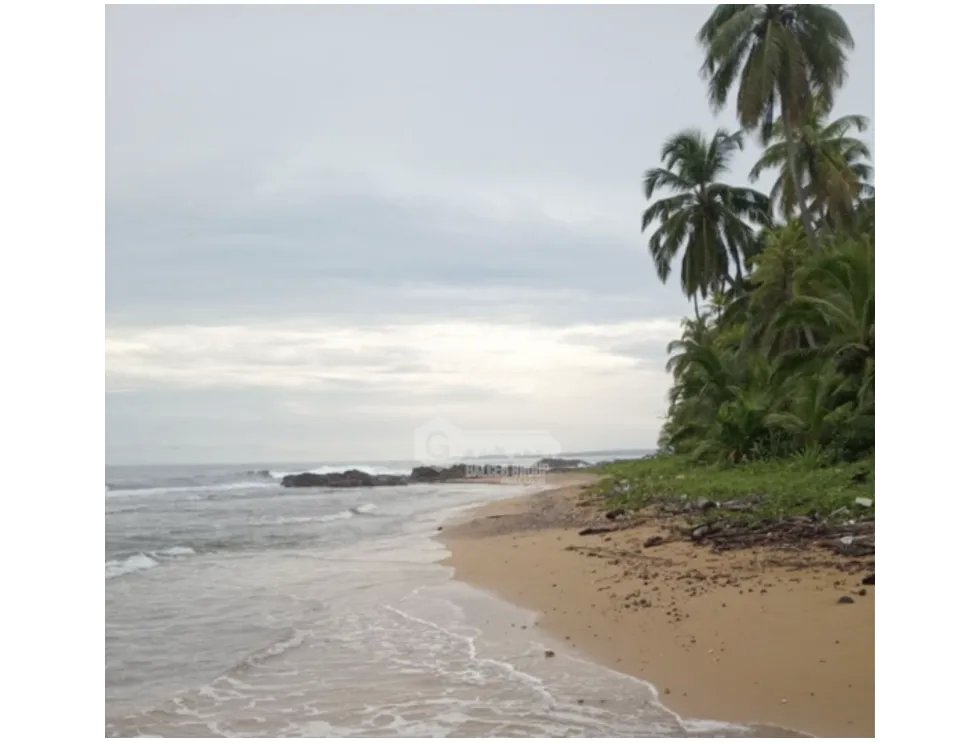 COLON / PLAYA CHIQUITA / 100 HECTAREAS / PARA DESARROLLO FRENTE AL MAR