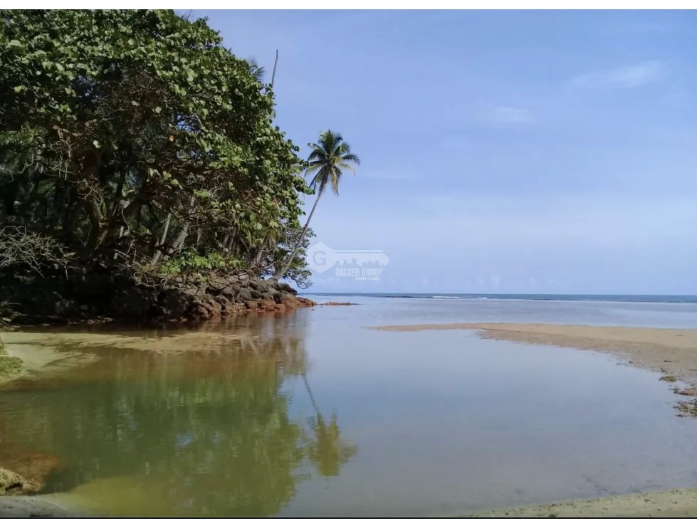 COLON / PLAYA CHIQUITA / 100 HECTAREAS / PARA DESARROLLO FRENTE AL MAR
