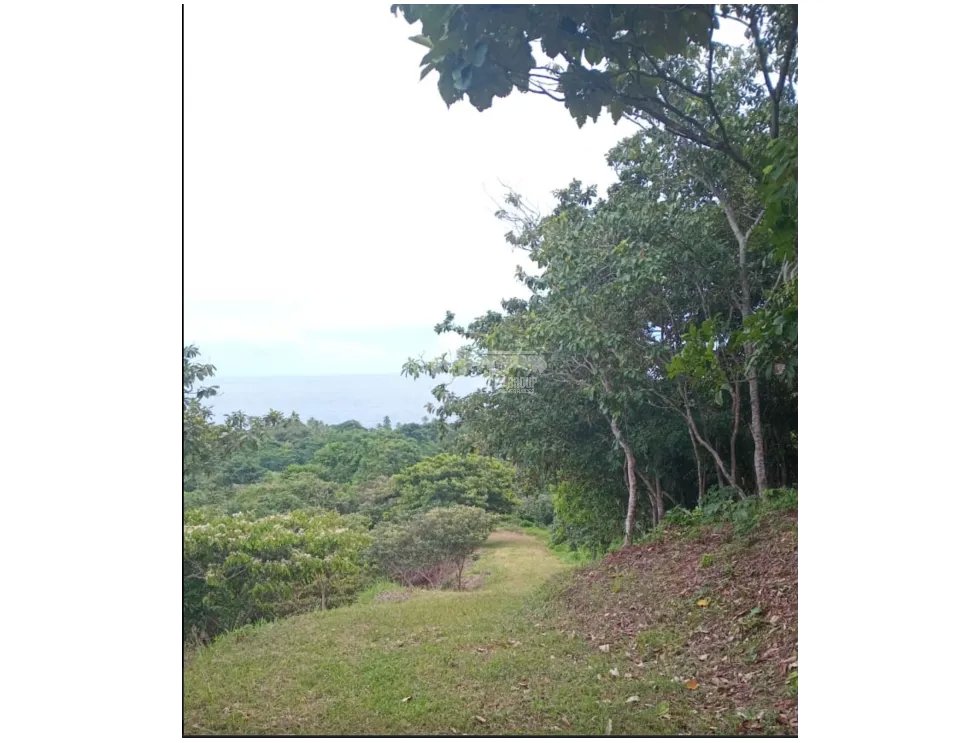 COLON / PLAYA CHIQUITA / 100 HECTAREAS / PARA DESARROLLO FRENTE AL MAR