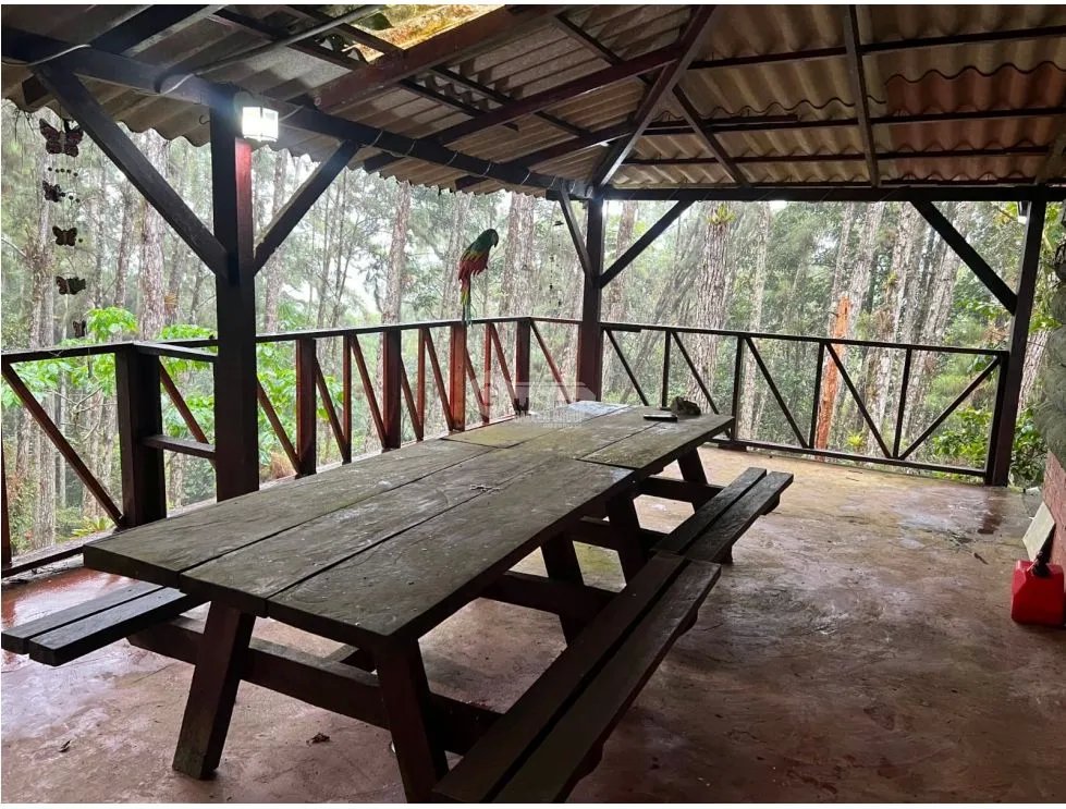 SE VENDE CASA EN ALTOS DE CERRO AZUL URB EL CASTILLO CON TERRAZA