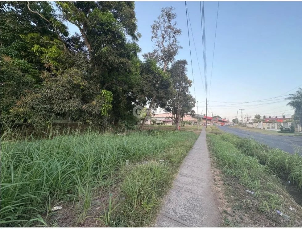 LA CHORRERA / EL ESPINO / 6818M / SOBRE LA VIA / USO COMERCIAL / AG