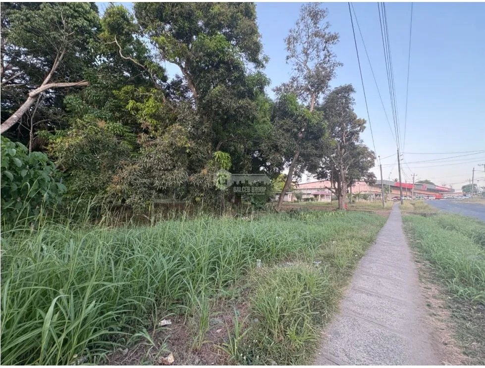 LA CHORRERA / EL ESPINO / 6818M / SOBRE LA VIA / USO COMERCIAL / AG